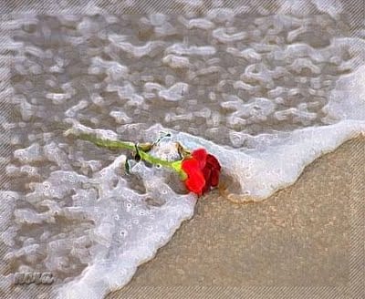 Bantuan Donasi kepada Para Janda, Wanita Muallaf, dan Wanita yang Terlilit Hutang