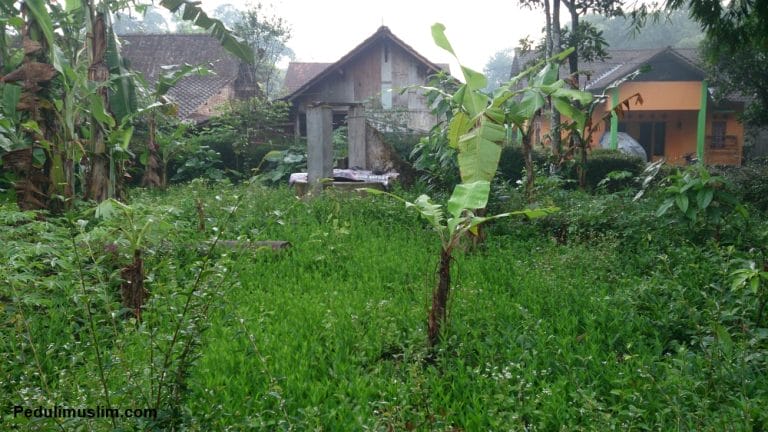 Donasi Khusus: Program Pembuatan Tempat Tinggal untuk Ibu “S.R”, Janda di Madyocondro