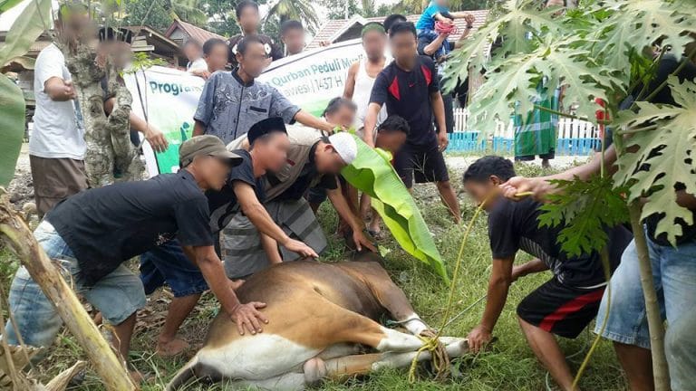 Mari Salurkan Qurban Anda di Pelosok Indonesia Tengah (Kalbar, Sulawesi, NTT, dan Sekitarnya)