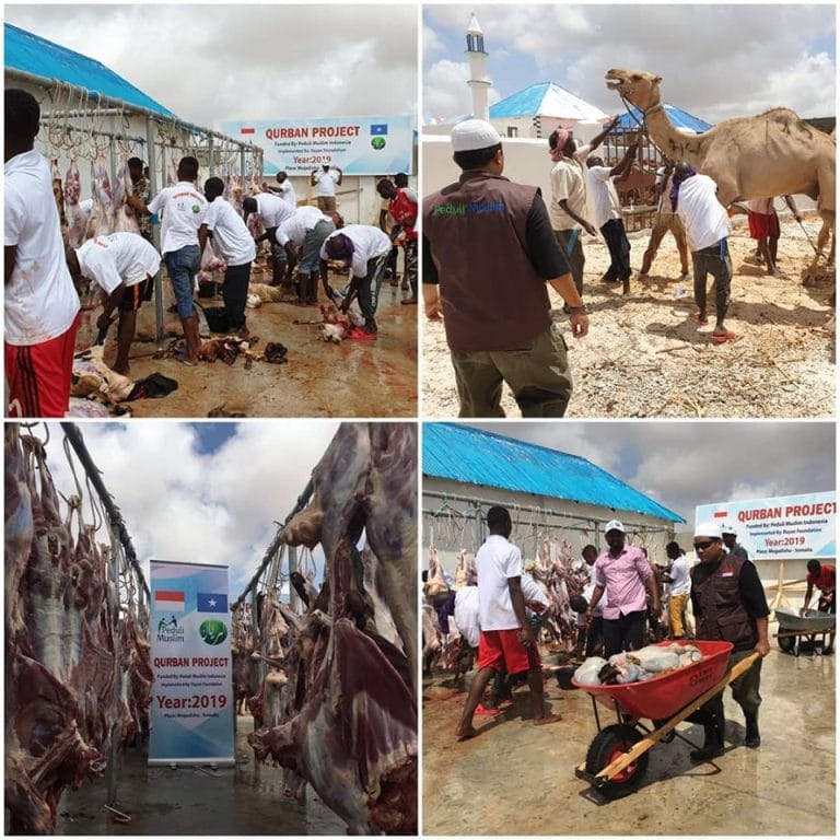 Dokumentasi & Administrasi Penyembelihan Kambing Program Somalia 1440 H