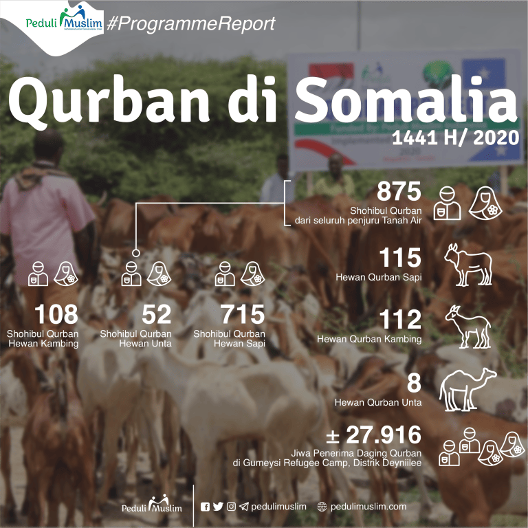 Infografis Qurban di Somalia 1441 H/ 2020