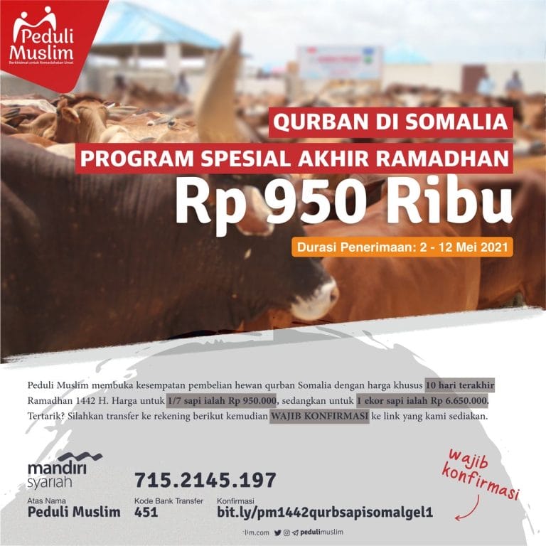 Tebar Qurban Somalia 1442/2021 Tahap Pertama: Patungan Sapi Hanya Rp 950.000 Saja