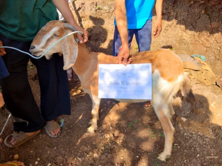 Laporan Dokumentasi Program Qurban Tanah Air 1443 / 2022