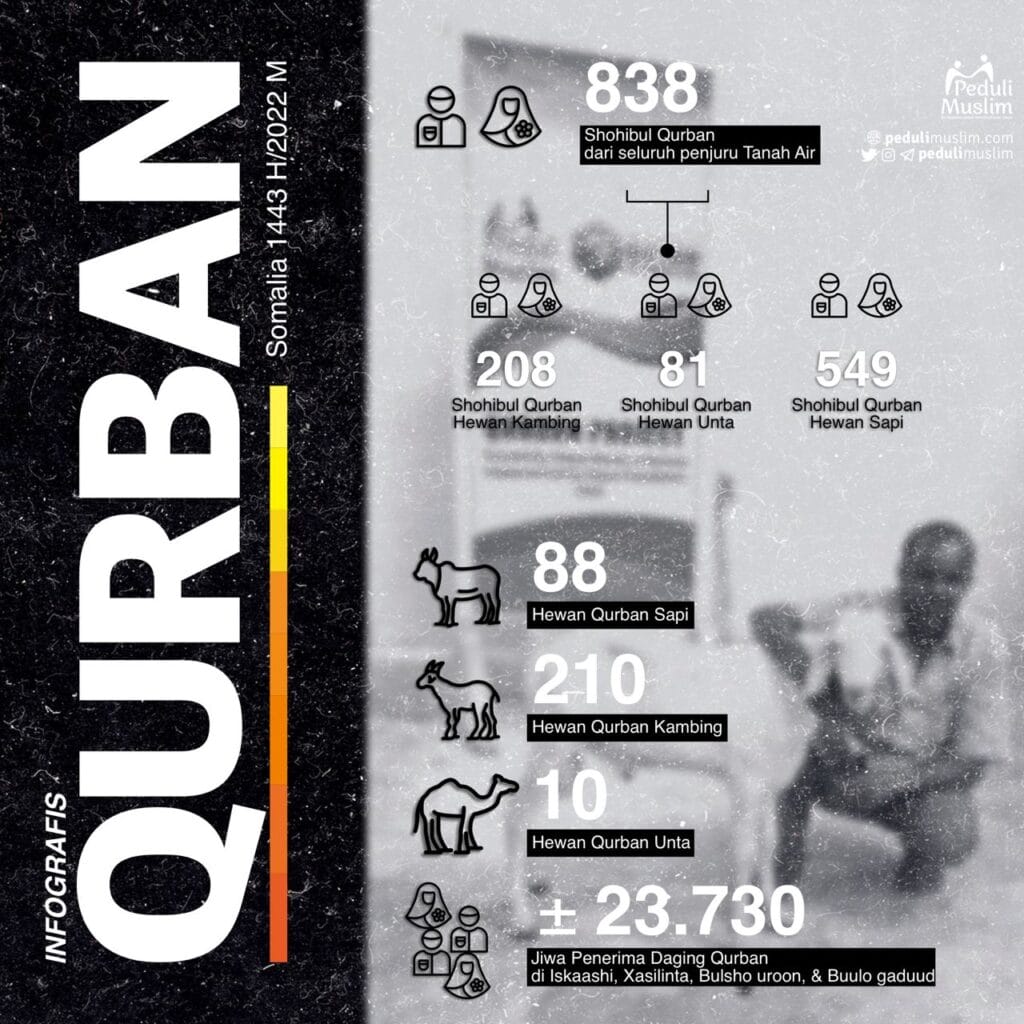 infografis qurban somalia 1443 2022