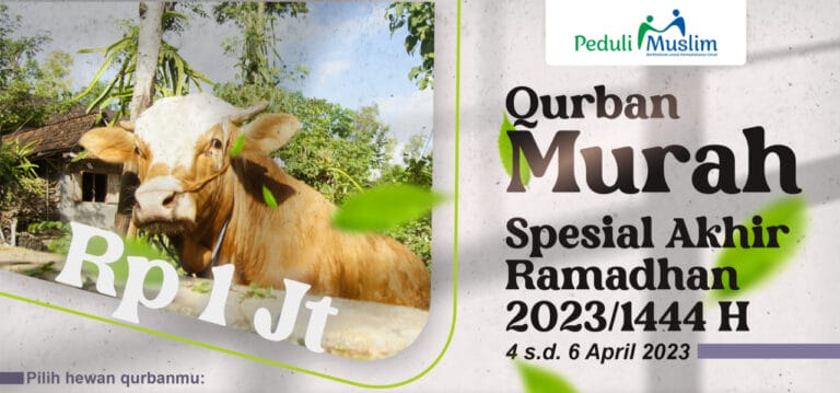 Qurban Murah Cuma Rp 1 Jt? Spesial Akhir Ramadhan