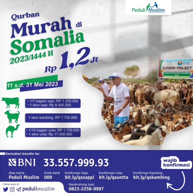 QURBAN DI AFRIKA HANYA RP 1,2 JUTA